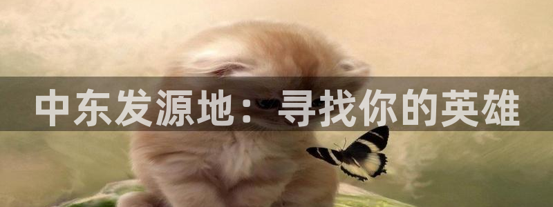 陕西db电竞子文化创意骗局：中东发源地：寻找你的英雄