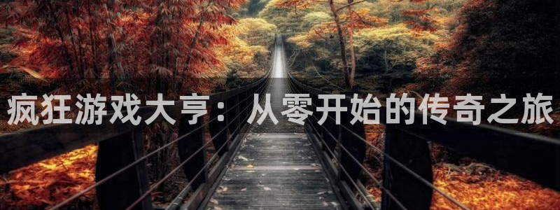 db电竞官网登录注册账号失败怎么办：疯狂游戏大亨：从零开始的传奇之旅