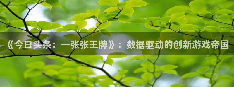 法国db电竞lvnces是奢侈品吗