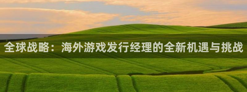 db电竞官网价 5O6917 db电竞：全球战略：海外游戏发行经理的全新机遇与挑战