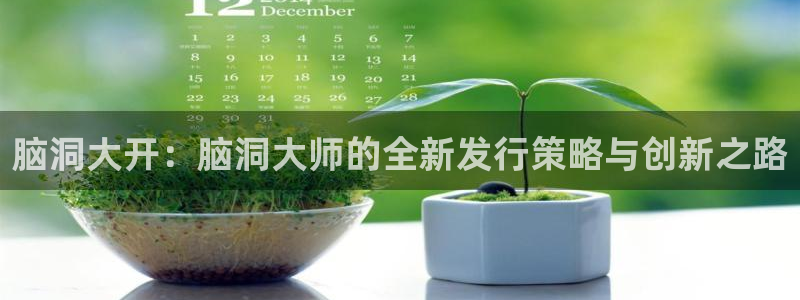 db电竞官网注册地址查询：脑洞大开：脑洞大师的全新发行策略与创新之路