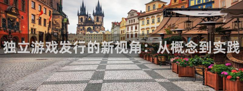 db电竞技术有限公司：独立游戏发行的新视角：从概念到实践