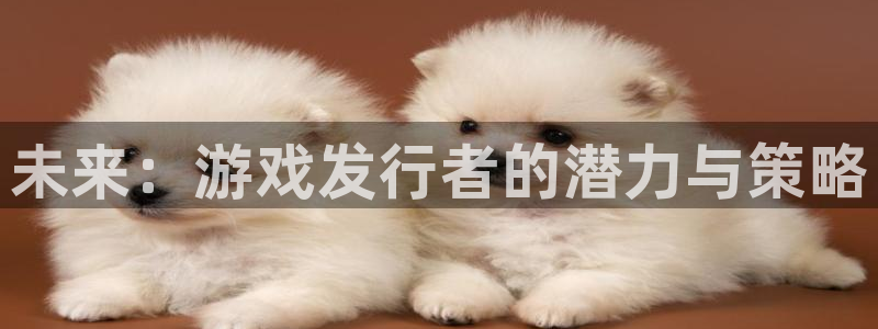db电竞智邦(北京)品牌策划有限公司：未来：游戏发行者的潜力与策略