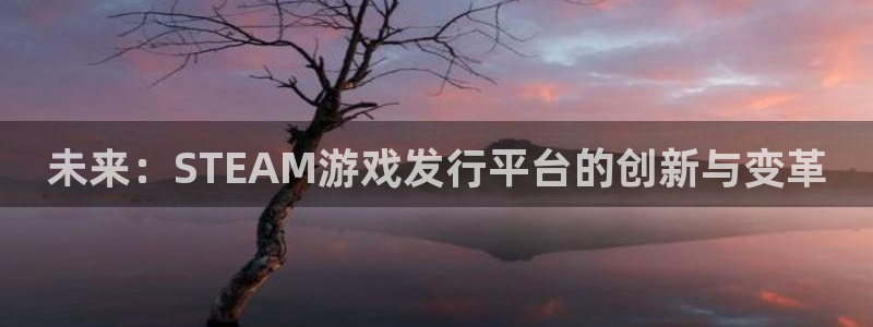 db电竞官网注册平台怎么样：未来：STEAM游戏发行平台的创新与变革