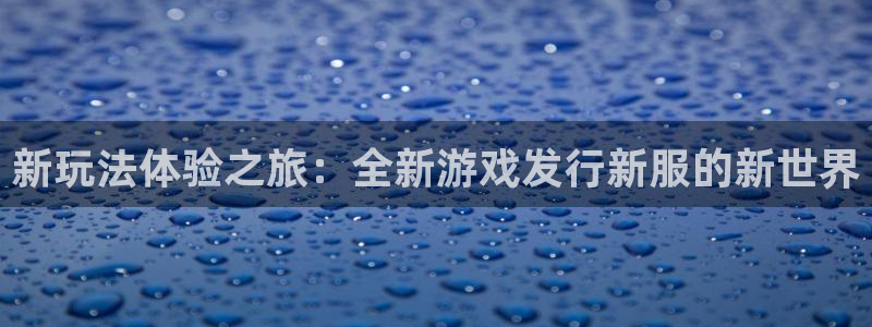 db电竞集团公司怎么样：新玩法体验之旅：全新游戏发行新服的新世界