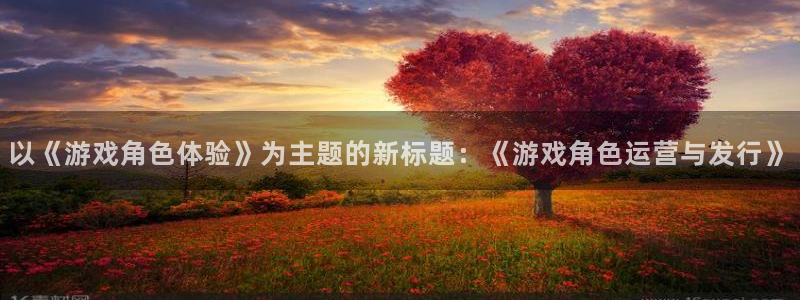 db电竞子代表什么意思