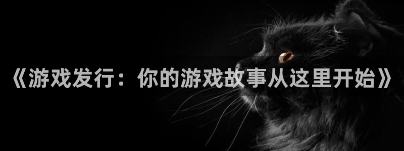 db电竞球队：《游戏发行：你的游戏故事从这里开始》