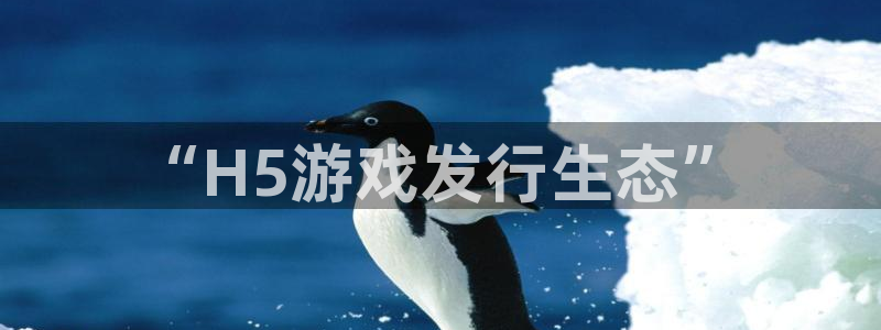 db电竞户外