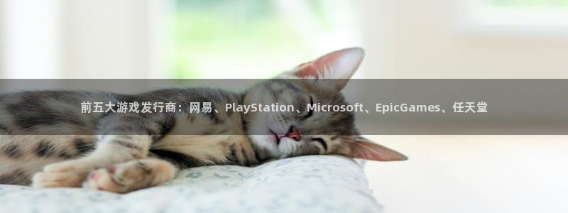 db电竞官网登录注册失败怎么回事：前五大游戏发行商：网易、PlayStation、Microsoft、EpicGames、任天堂