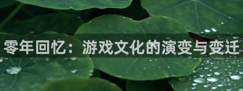 db电竞官网官网注册账号密码：零年回忆：游戏文化的演变与变迁