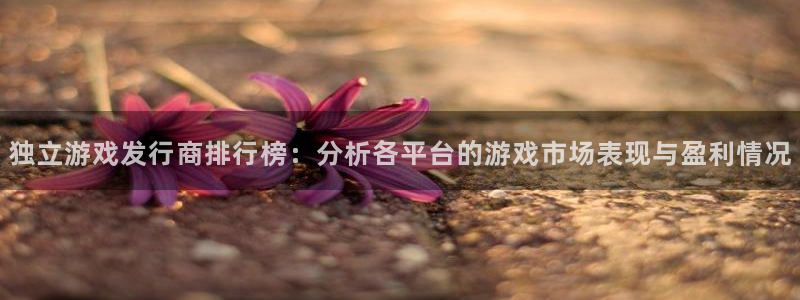 db电竞电子科技怎么样：独立游戏发行商排行榜：分析各平台的游戏市场表现与盈利情况